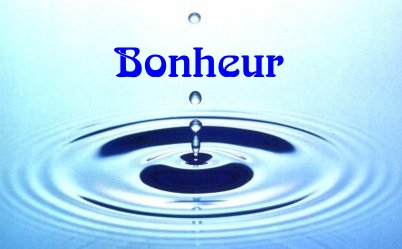 Les 7 lois du bonheur